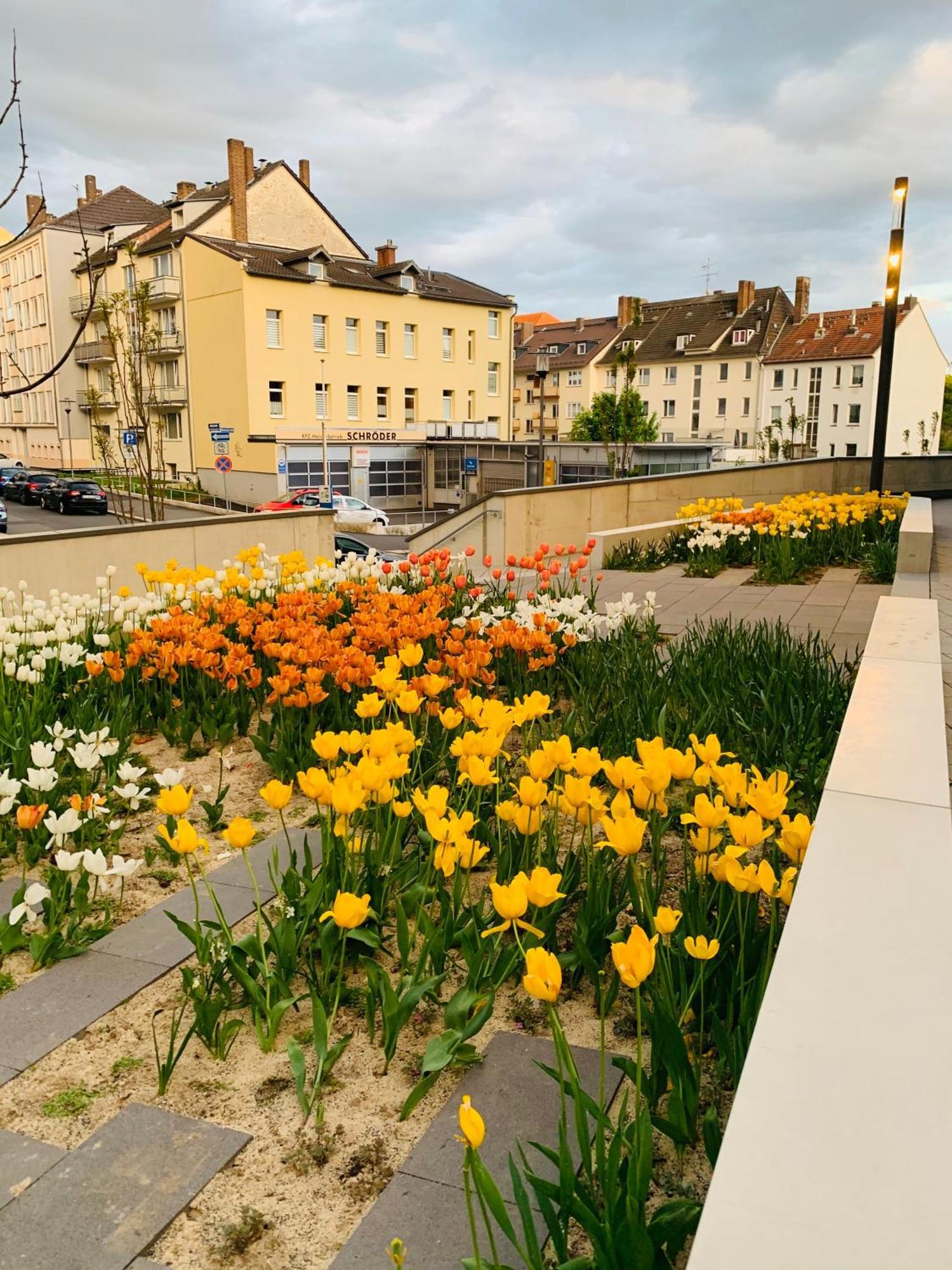 Stadtwohnung Mit Garten Kassel Eksteriør bilde